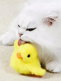 User picture 3